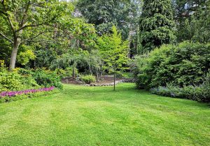 Optimiser l'expérience du jardin à Juvigny-le-Tertre